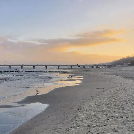 Vintage Porto Lägenhet *